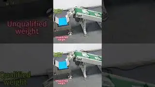 Mini type Checkweigher, weighing machine