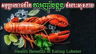 អត្ថប្រយោជន៍នៃ ការញ៉ាំបង្កង ចំពោះសុខភាព | Health Benefits of Eating Lobster