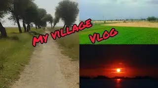 ||My village vlog||  #tour# vlog#saira Ali# Saira village#