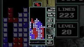 Insane survival in NES Tetris