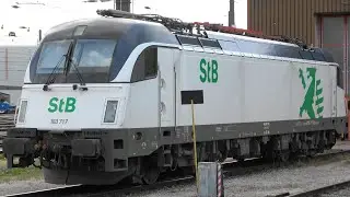 STB Steiermarkbahn in Vorarlberg am Containerzug zum &Ouml;BB Terminal Wolfurt mit 183 717