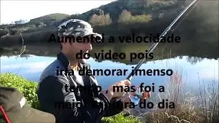 pesca ao barbo / barbel com feeder