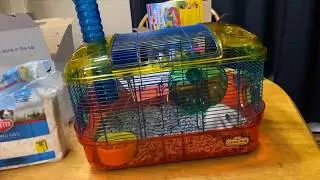 CritterTrail Loop-n-play habitat setup with new hamster and cat