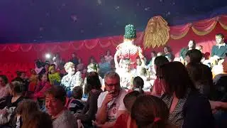 The Cardinalis - Amar 2018