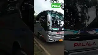 palala single glass bus asli padang mania daan mogit raya