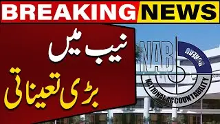 Caretaker Govt Big Decision | Sohail Nasir Appointed as Deputy Chairman Nab | Big News | Capital TV