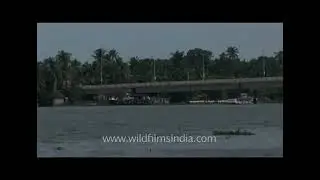 Goshree bridge over Vembanad lake   Vallarpadam rail Bridge in Kochi