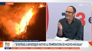 ¿Cómo combatir los incendios forestales?: 