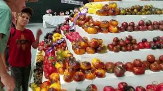 Wild Boar Farms tomato pyramid display at the Heirloom Exposition in 2016
