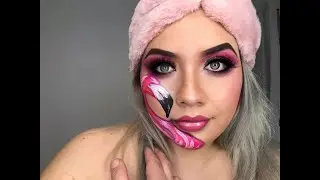 🦩🦩🦩🦩🦩🦩🦩🦩🦩🦩