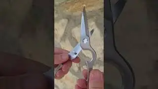 Kitchen Scissors stainless steel Hatsukokoro