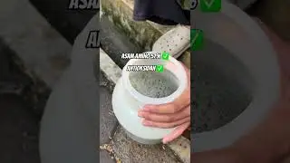 Cara Praktis Bikin Ayam Broiler Sehat & Gak Lesu