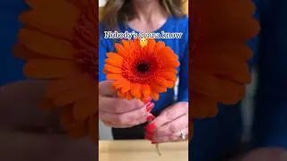 🌼 Keep your Gerbera Daisies from drooping with this clever trick! #daisy #floraldesign #florist