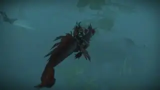 Found something in the Ocean ..... - WoW  Dragonflight Exploration