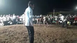 2025 Pali kusti maidan sunil khandale khopoli ❌️ rahul kurade falyan mankhora