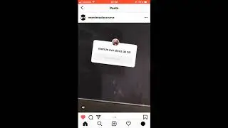 Palac - Gluma (Snippet)