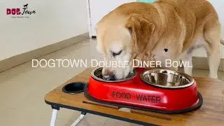 DOGTOWN Stainless Steel Double Diner Dog and Cat Food Bowls with Anti Slip rubber