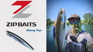 Λαβράκι σε popper - Sea Bass On A Popper (Zipbaits Skinny Pop 130)