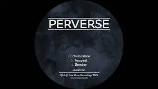 Perverse - Echolocation