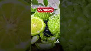 5 vari&eacute;t&eacute;s d&rsquo;agrumes incroyables #agrumes #orange #citron #mandarine