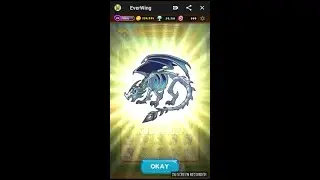 EverWing - Riblets All Evolutions