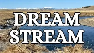 Dream Stream | Cuttbows & Company | March 2024