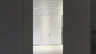 Minimalist frameless invisible door#invisibledoor #concealeddoors #flushdoor #doorfactory #doors