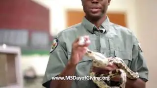 MS Day of Giving 2015