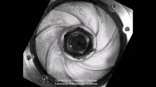 Video 1 - Gas-liquid two-phase flow patterns within ESP