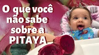 Bebê pode comer Pitaya?