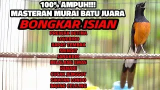 MASTERAN MURAI GACOR FULL TEMBAKAN MEWAH BONGKAR MATERI LOMBA 100% BIKIN LAWAN IKUT BONGKAR ISIAN