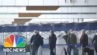 WHO Team In Wuhan To Begin Investigating Covid Origins | NBC Nightly News