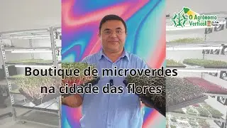 Boutique de microverdes na cidade das flores