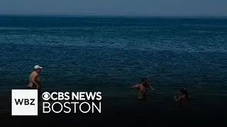 The temperature of the ocean has hit a record high. Here's what that means for Massachusetts