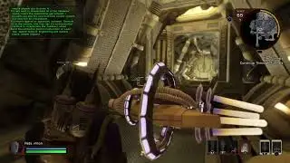 Star Trek Online vaadwaur status drone