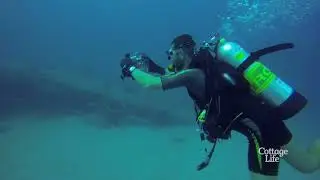 About Reef Smart Guides