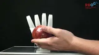 hand der mensch als inspiration