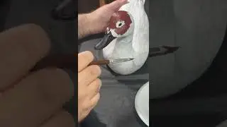 Painting Pintail Duck Wood Carving