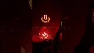Everything Always live Ultra 2025 #miami #edm #ultra25 #live #music #festival #fireworks #laser #dj