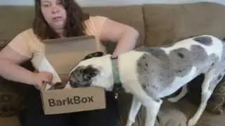 April 2014 BarkBox Medium Box