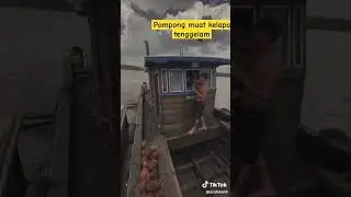pompong muat kelapa tenggelam #shorts