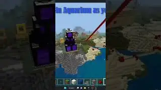 Minecraft Realm with Disney Castle