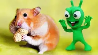 PEA PEA Plays With Hamster -Stop Motion Play Doh | HandmadeCartoon #videocartoon
