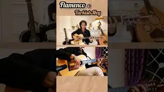 Flamenco & turkish ney #flamenco #guitar #guitarcover #ney #guitarfingerstyle #music #instrumental