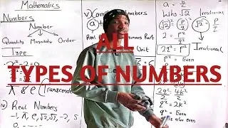 What are the types of Numbers | Real vs Imaginary | Rational and Irrational | Complex Number 