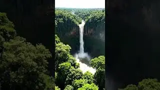 nature 🏞️#trending @shorts#*@cut master edits 🌲☘️