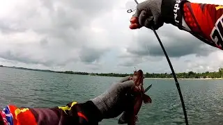 Magandang pain EP1 / hipon ang pain para hindi ma zero sa pamimingwit sa dagat