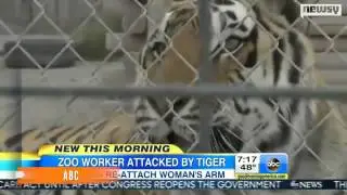Oklahoma Exotic Animal Park Worker Hurt After Tiger Attack