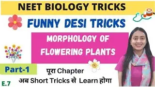 NEET BIOLOGY TRICKS: Morphology of Flowering Plants | Part-1