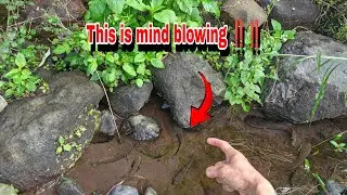 HOW TO CATCH SNAKEHEAD FISH - how to fishing snakehead fish